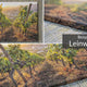 Materialien im Vergleich: Leinwand vs. Alu-Dibond vs. Acrylglas