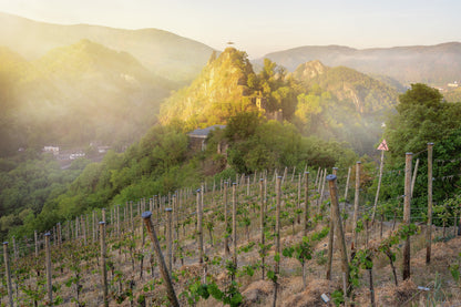 Burg Are im Morgendunst