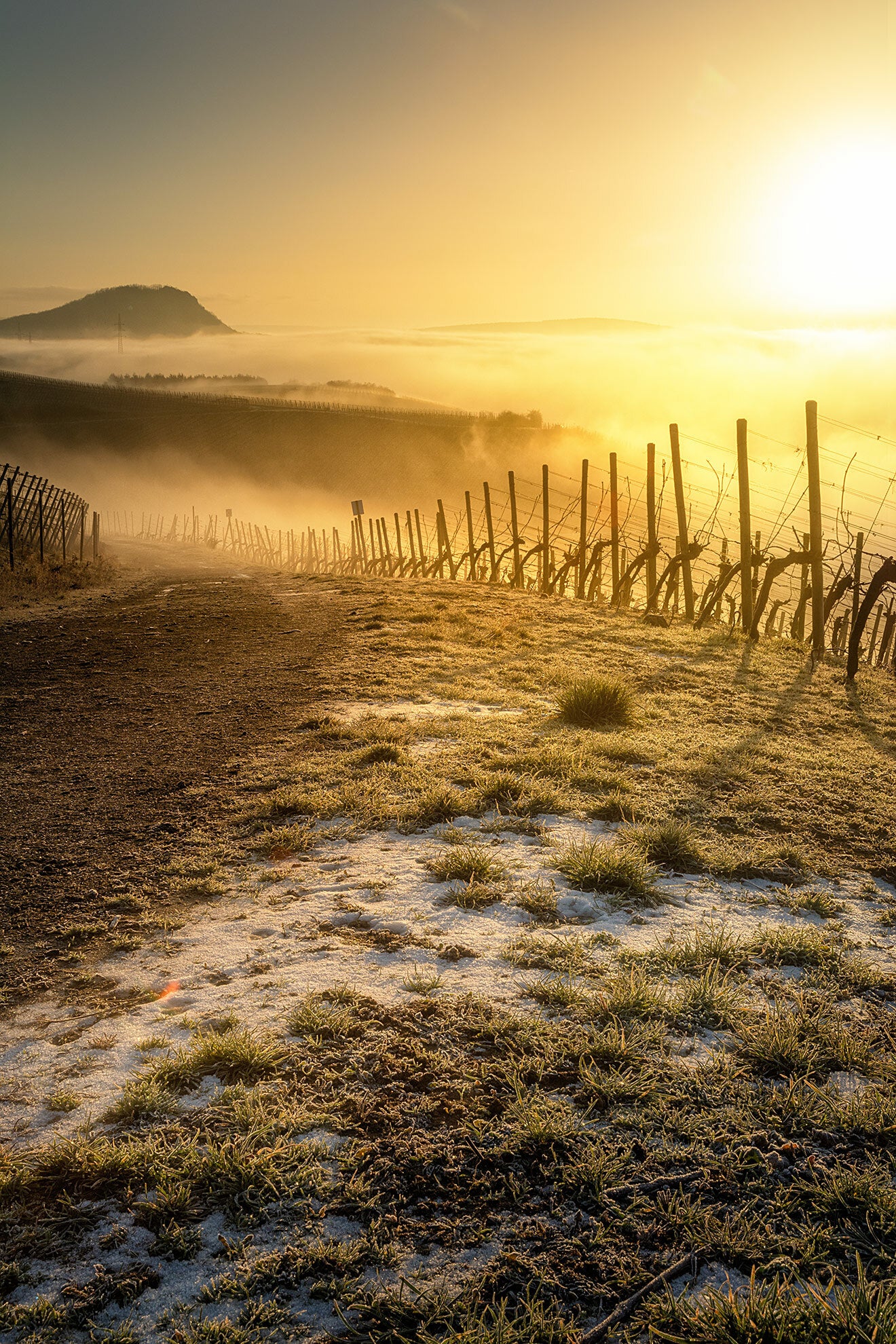 Schneereste in den Weinbergen