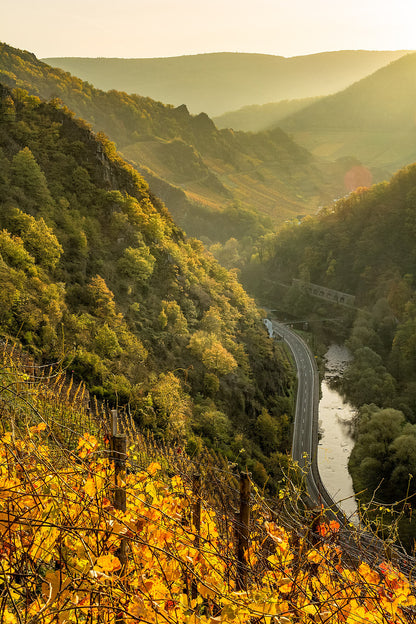 Morgenstimmung bei Altenahr (Hochformat)