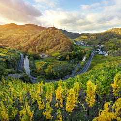 Die Saffenburg im Herbst