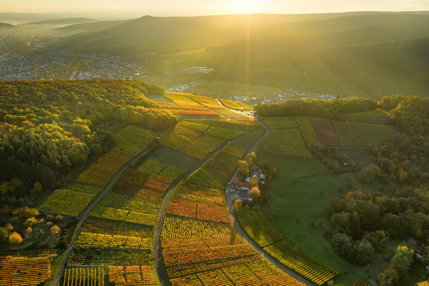 Weinfelder oberhalb von Walporzheim