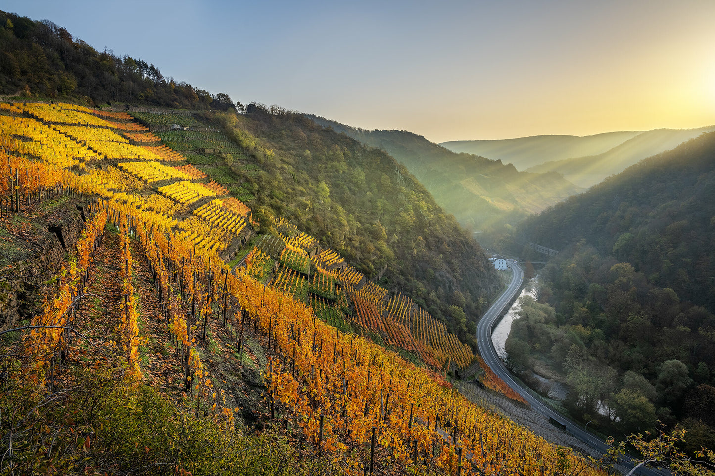 Blick vom Altenahrer Eck zum Sonnenaufgang