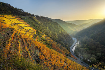 Blick vom Altenahrer Eck zum Sonnenaufgang