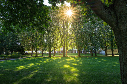 Sonnenaufgang im Kurpark Bad Neuenahr