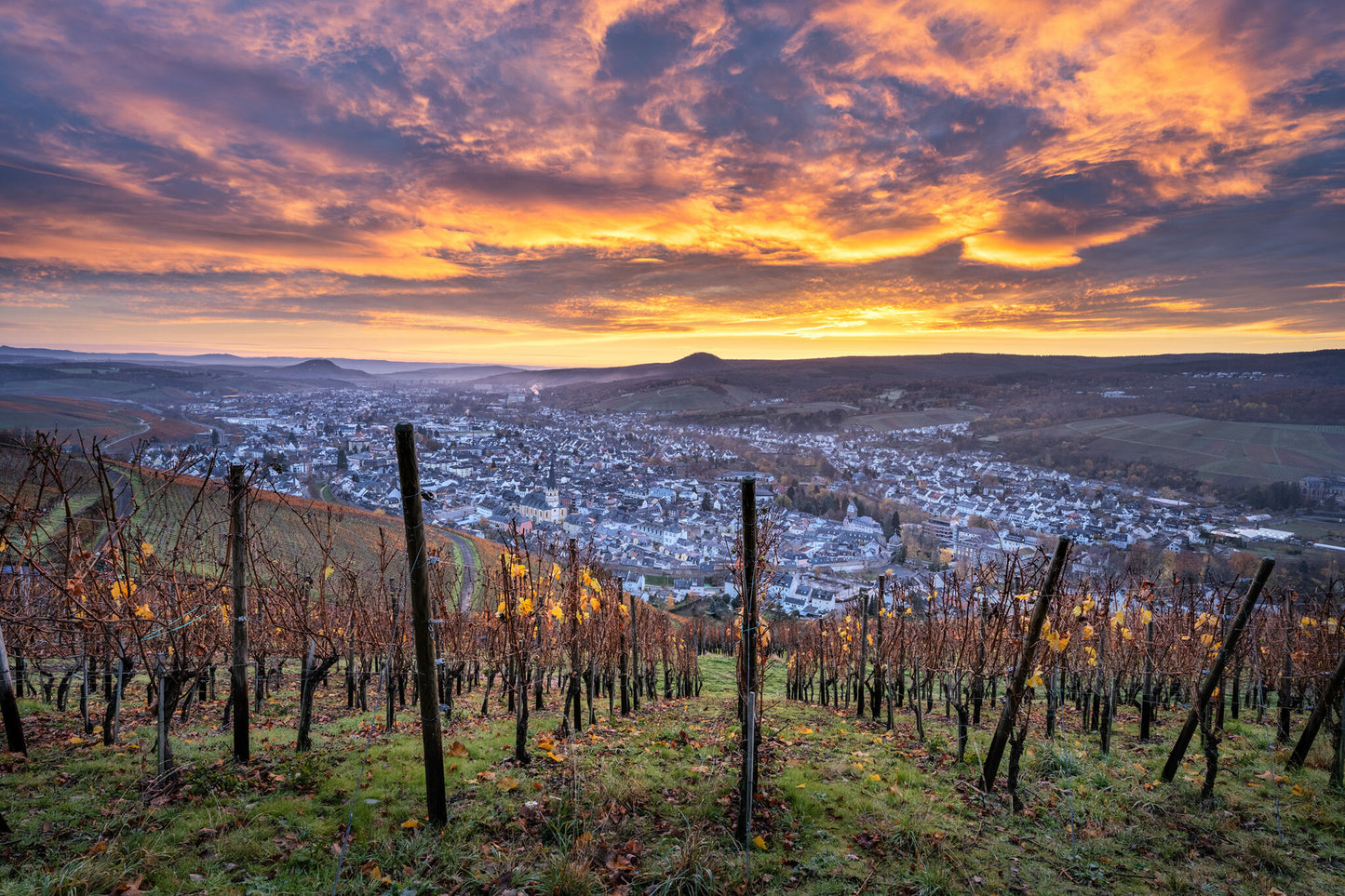 Die letzten Weinblätter im Herbst