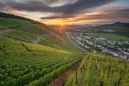 Blick über das Ahrtal im Sommer