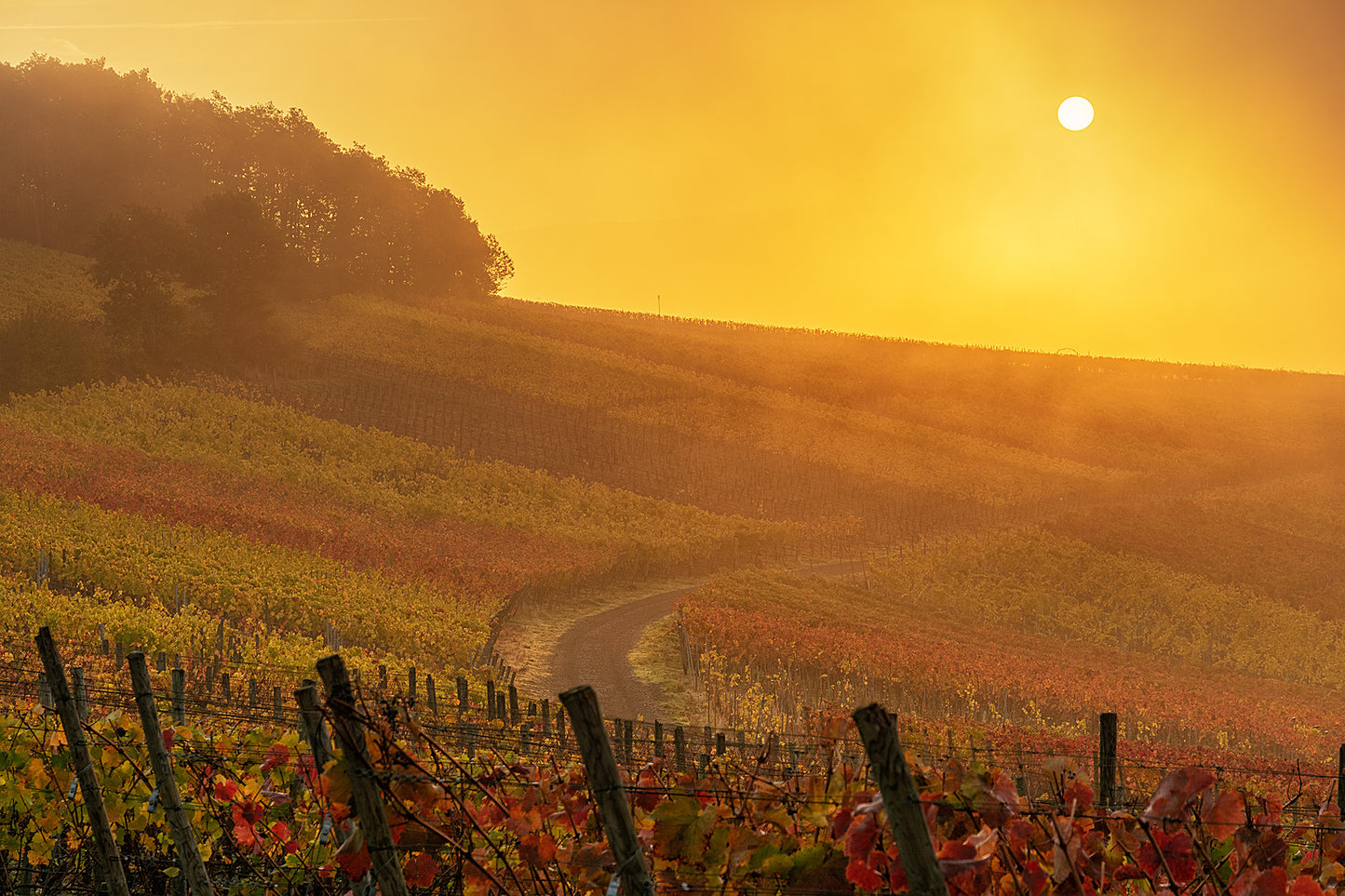 Herbstnebel