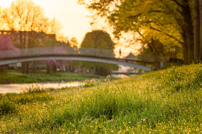 Frühling an der Maria-Hilf-Brücke in Bad Neuenahr