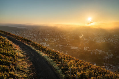 Ahrweiler im Morgennebel