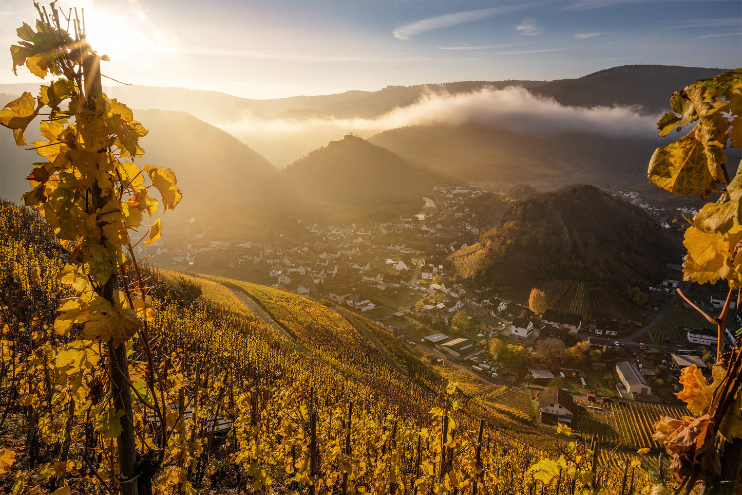 Goldener Herbstmorgen in Mayschoß