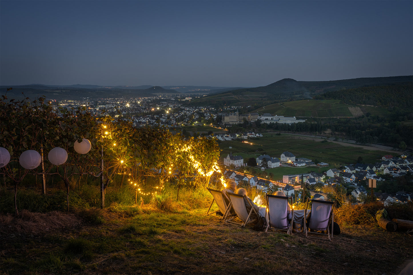 Blick aus dem Olivenhain über Ahrweiler