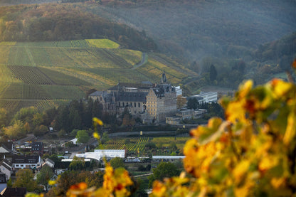Das ehemalige Kloster Kalvarienberg