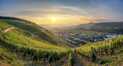 Panorama über Bad Neuenahr-Ahrweiler