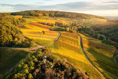 Fischley und Weinlage Rosenberg im Herbst