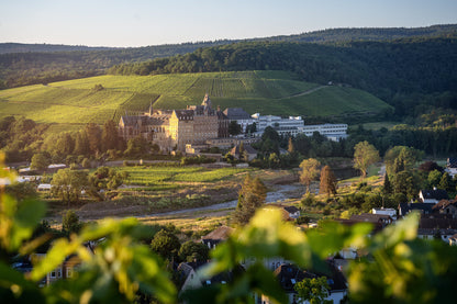 Sommerlicher Blick auf das ehemalige Kloster Calvarienberg
