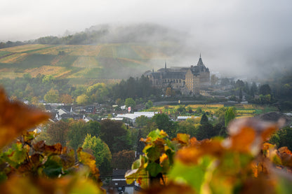 Nebliger Blick auf das ehemalige Kloster Calvarienberg