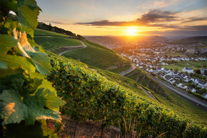 Sommerlicher Ausblick