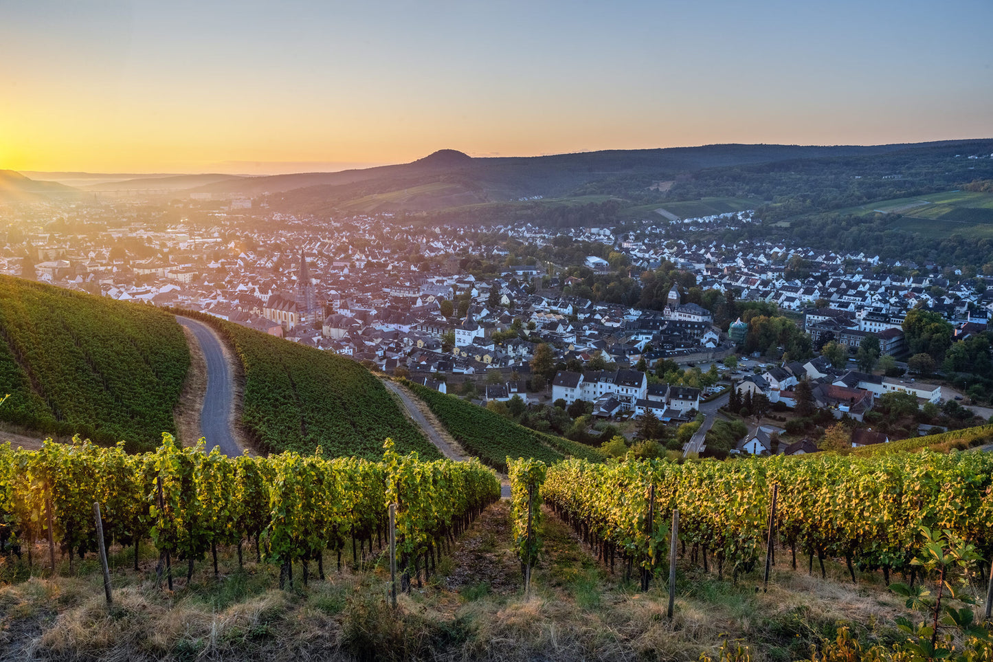 Sommerlicher Ausblick über Ahrweiler