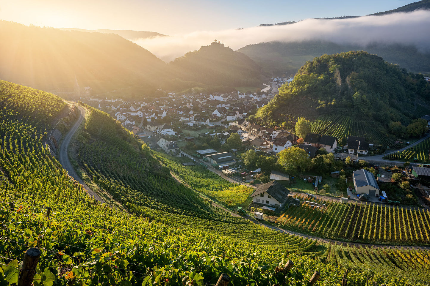 Blick über Mayschoß im Herbst