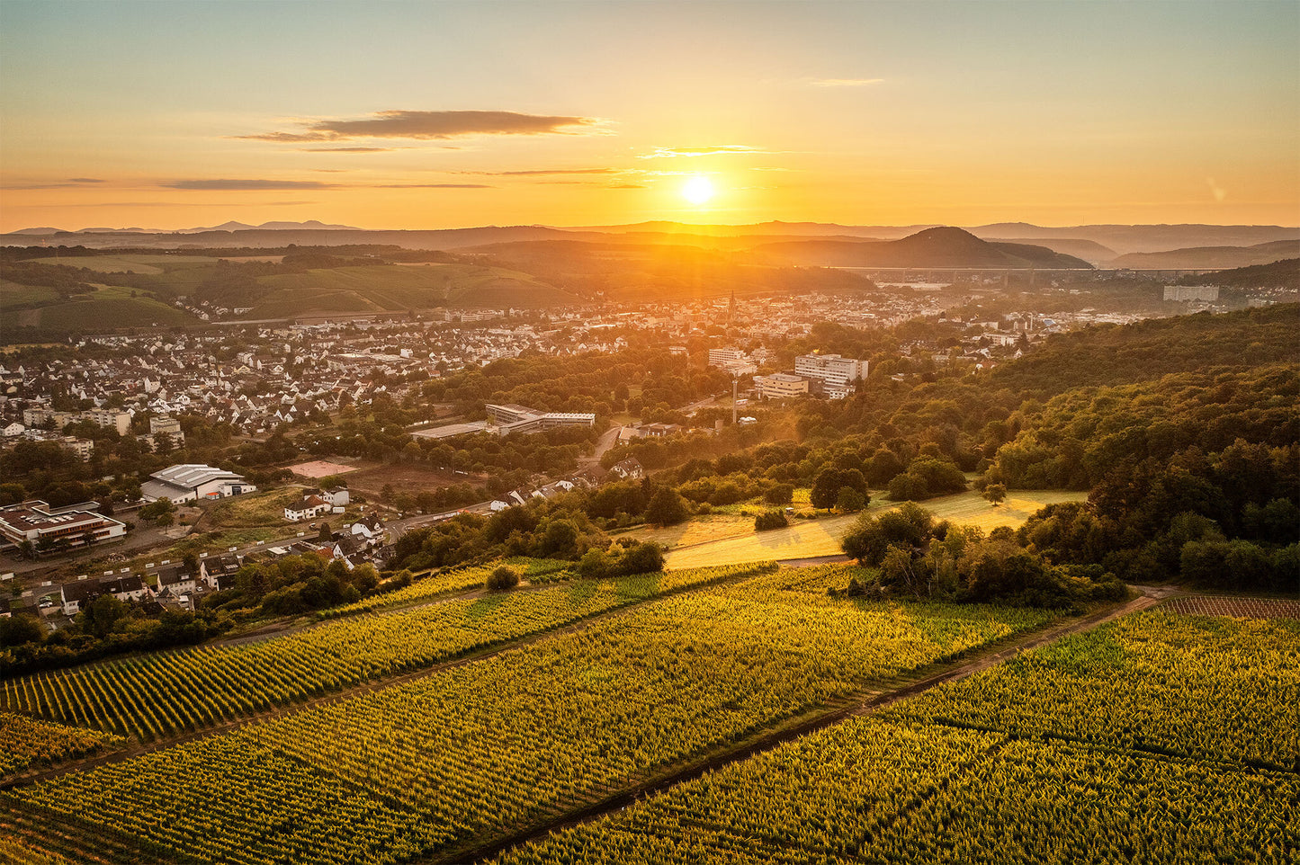 Blick über die Bachemer Weinberge nach Bad Neuenahr