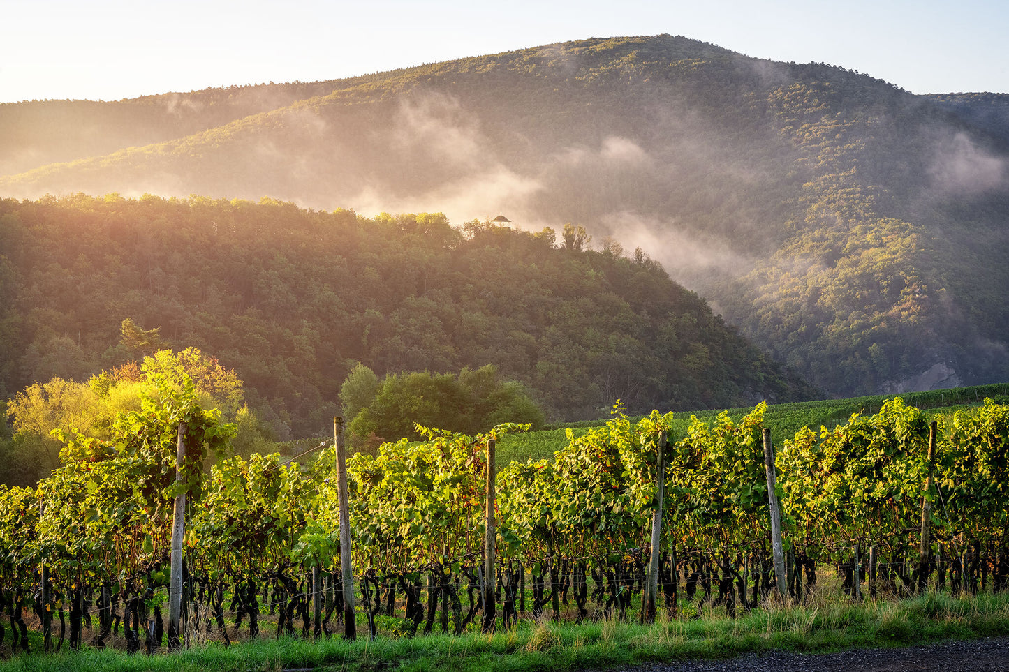 Herbstszene mit Schutzhütte Bunte Kuh