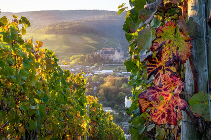 Herbstlicher Blick zum ehemaligen Kloster Calvarienberg
