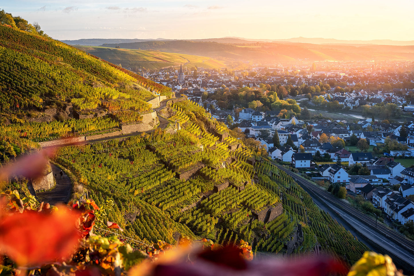 Herbst in Ahrweiler