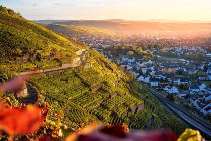 Herbst in Ahrweiler