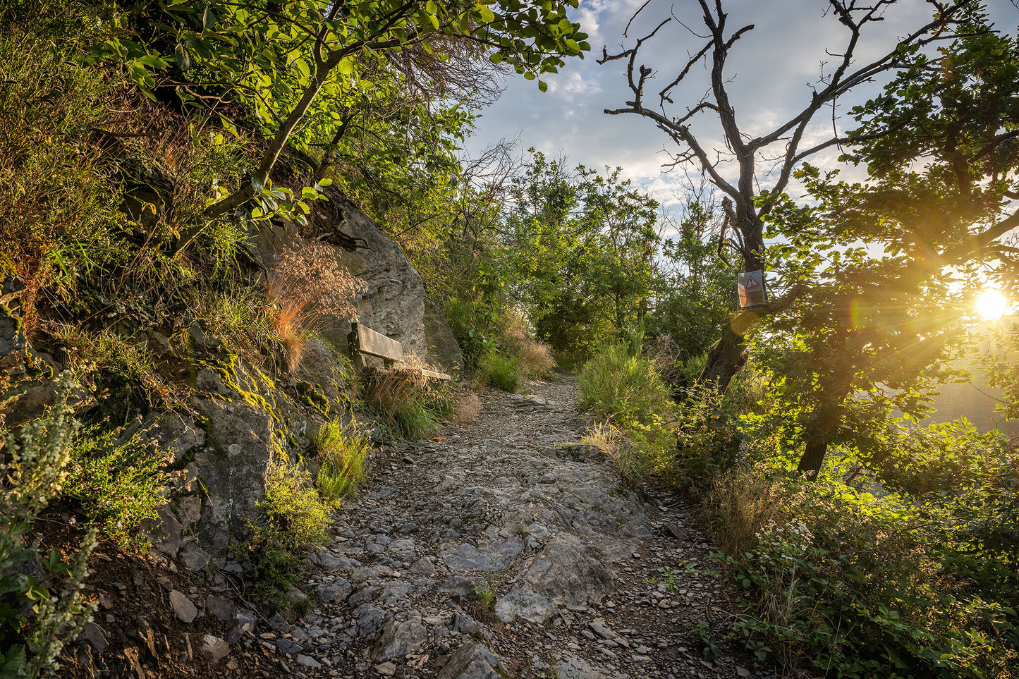 Wanderweg in Dernau