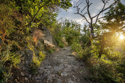 Wanderweg in Dernau