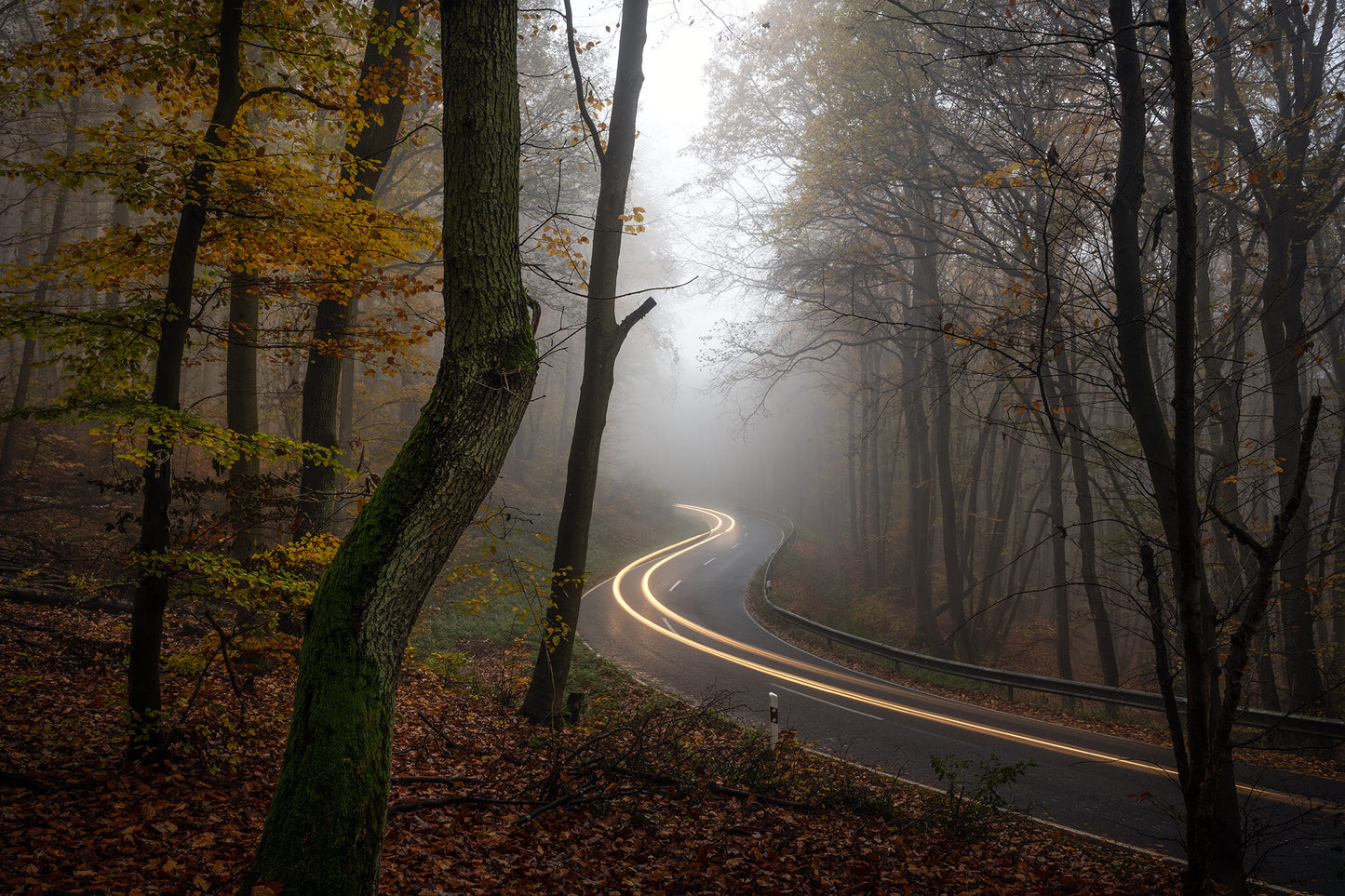 Herbstmorgen im Wald im Ahrtal
