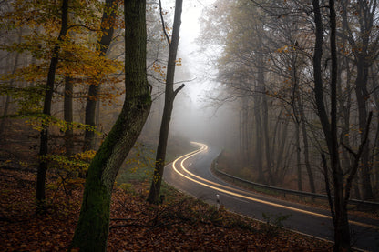 Herbstmorgen im Wald im Ahrtal
