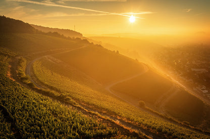 Nebliger Ausblick über die Weinberge
