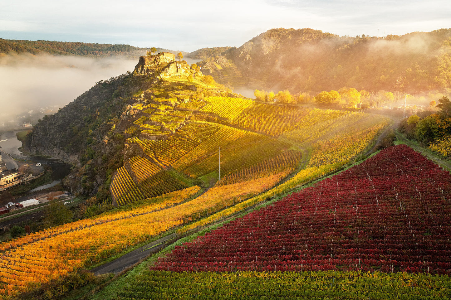Die Saffenburg un die Weinberge im Herbst
