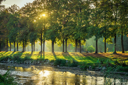 Allee in Bad Neuenahr