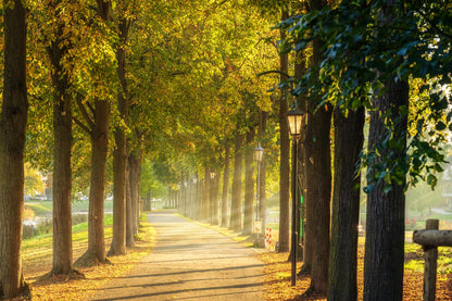 Sonnenstrahlen im KAV-Park in Bad Neuenahr
