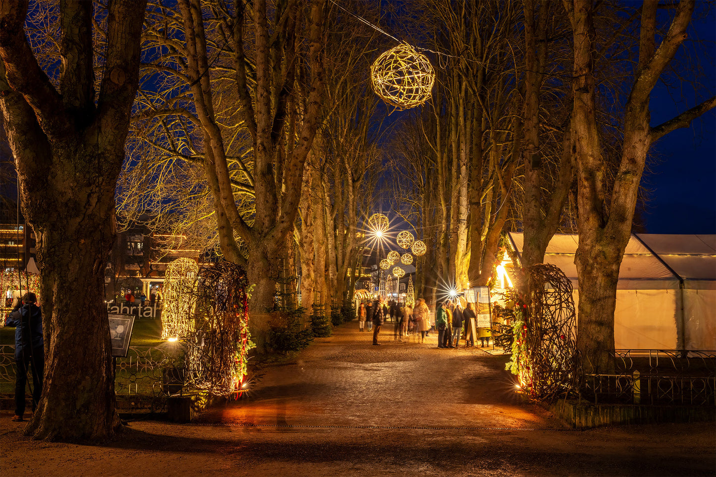Allee bei den Uferlichtern in Bad Neuenahr