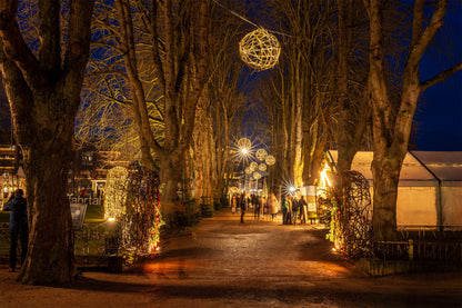 Allee bei den Uferlichtern in Bad Neuenahr