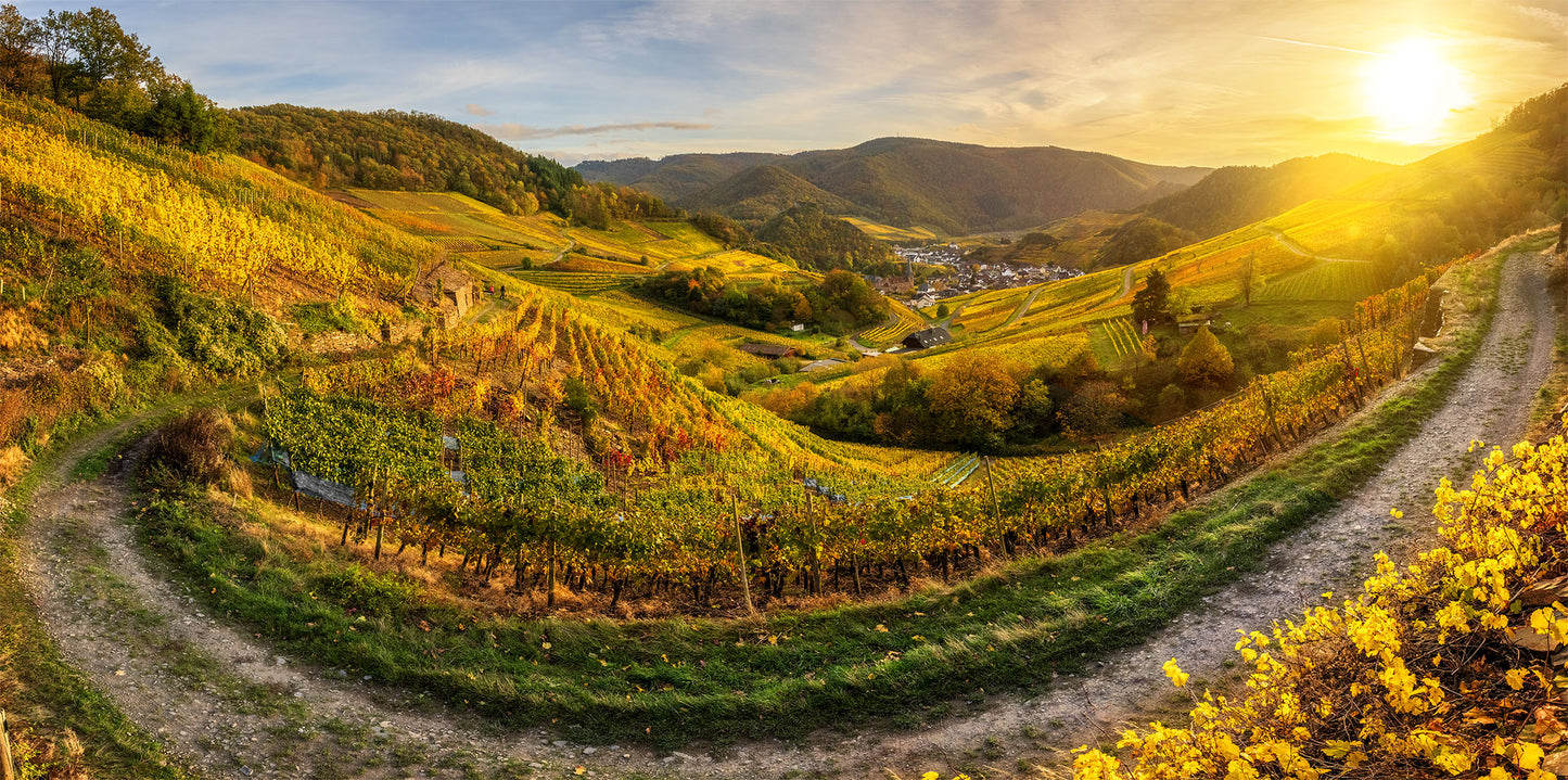 Herbstliches Panorama Mayschoß