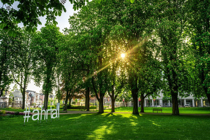 Kurpark Bad Neuenahr Kastanienblüte