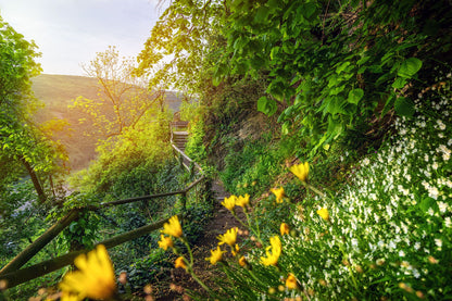 Wanderweg im Frühling