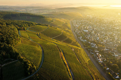 Weinberge und Ahrweiler