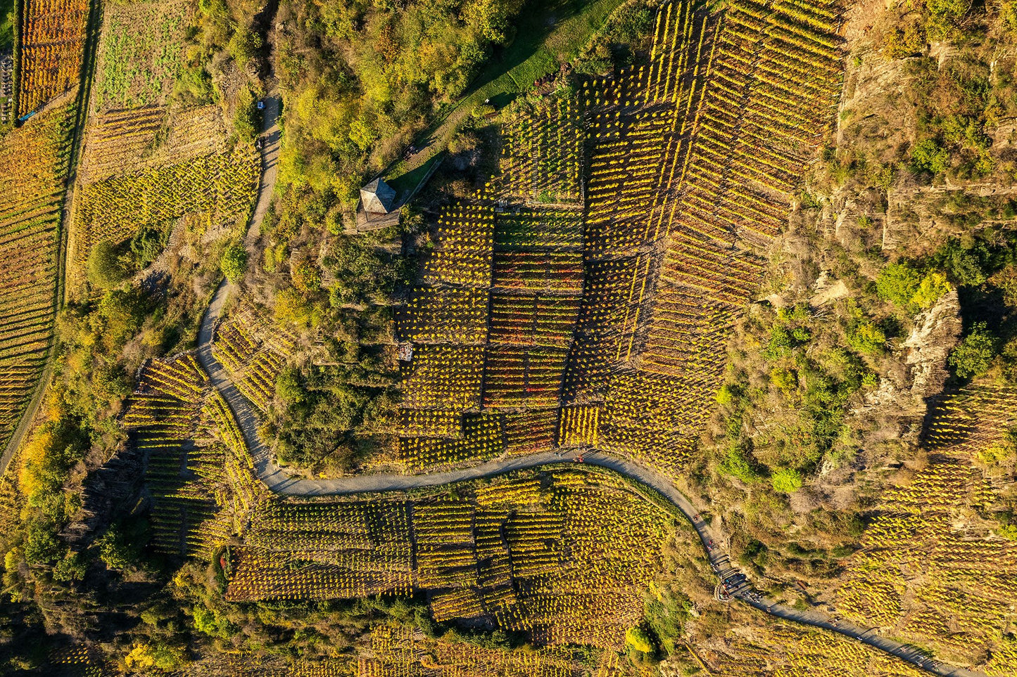 Mayschoß Weinberge Drohne