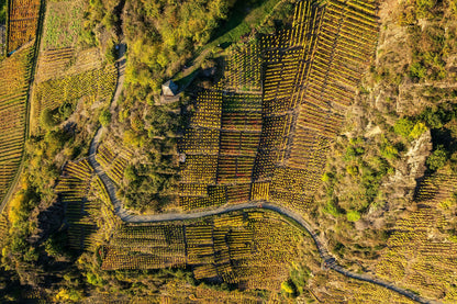 Mayschoß Weinberge Drohne