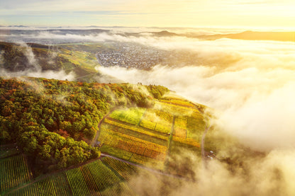 Weinberge Nebel und Ahrweiler