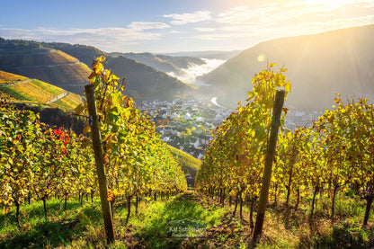 Herbstlicher Blick nach Dernau