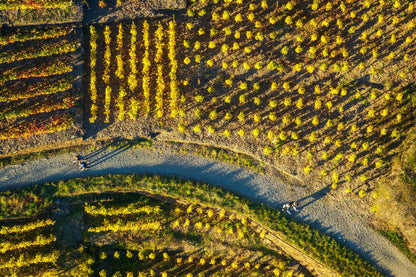 Mayschoß Weinberge Drohne Nr 2