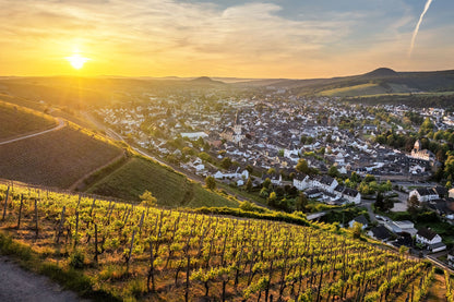 Frühlingshafter Blick auf Ahrweiler