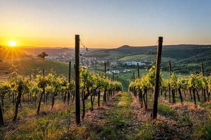 Blick auf den Calvarienberg im Frühling